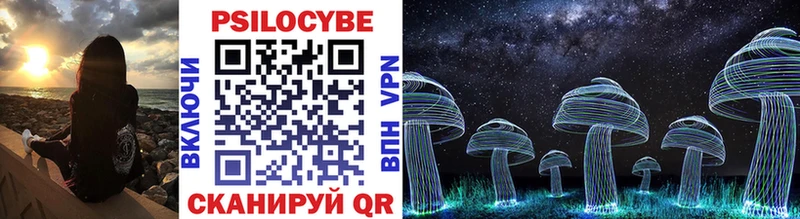 omg как войти где продают Сердобск Псилоцибиновые грибы GOLDEN TEACHER