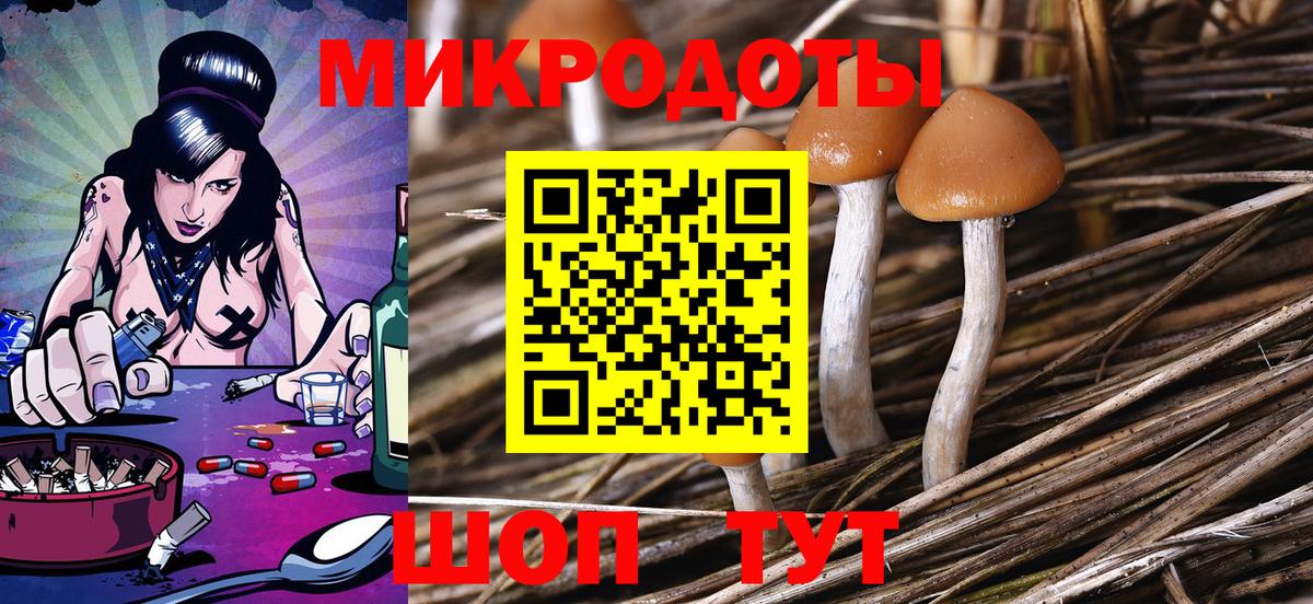 Псилоцибиновые грибы Psilocybine cubensis Сердобск